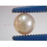 Perfect Round Golden Pearl:ไข่มุกแท้เม็ดกลมสีทอง