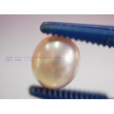 Oval Golden Pearl:ไข่มุกแท้เม็ดทรงไข่สีขาวประกายทอง