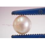 Perfect Round White Pearl :ไข่มุกทรงกลมสีขาวอมชมพู