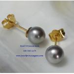 Grey Pearl Stud Earrings14kG:ต่างหูไข่มุกเม็ดเดี่ยวสีเทา 5.5มม.(ตัวเรือนทองแท้)