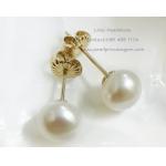 White Pearl Stud Earrings14kG:ต่างหูไข่มุกเม็ดเดี่ยวสีขาว 8.5มม.(ตัวเรือนทองแท้)