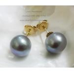 Grey Pearl Stud Earrings14kG:ต่างหูไข่มุกเม็ดเดี่ยวสีเทา 10-10.5มม.(ตัวเรือนทองแท้)
