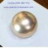 Golden Luster Loose Pearl: ไข่มุกสำหรับทำหัวแหวนสีพิเศษ สีเหลือบทอง