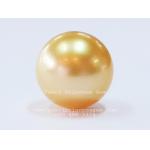 Golden South Sea Pearl:ไข่มุกเซาท์ซีสีทอง