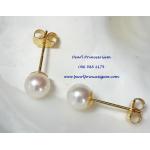 White Pearl Stud Earrings14kG:ต่างหูไข่มุกเม็ดเดี่ยวสีขาว 5.5มม.(ตัวเรือนทองแท้)